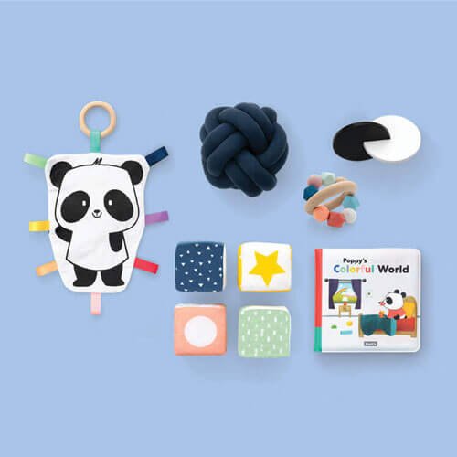 assortment of toys from the panda crate 