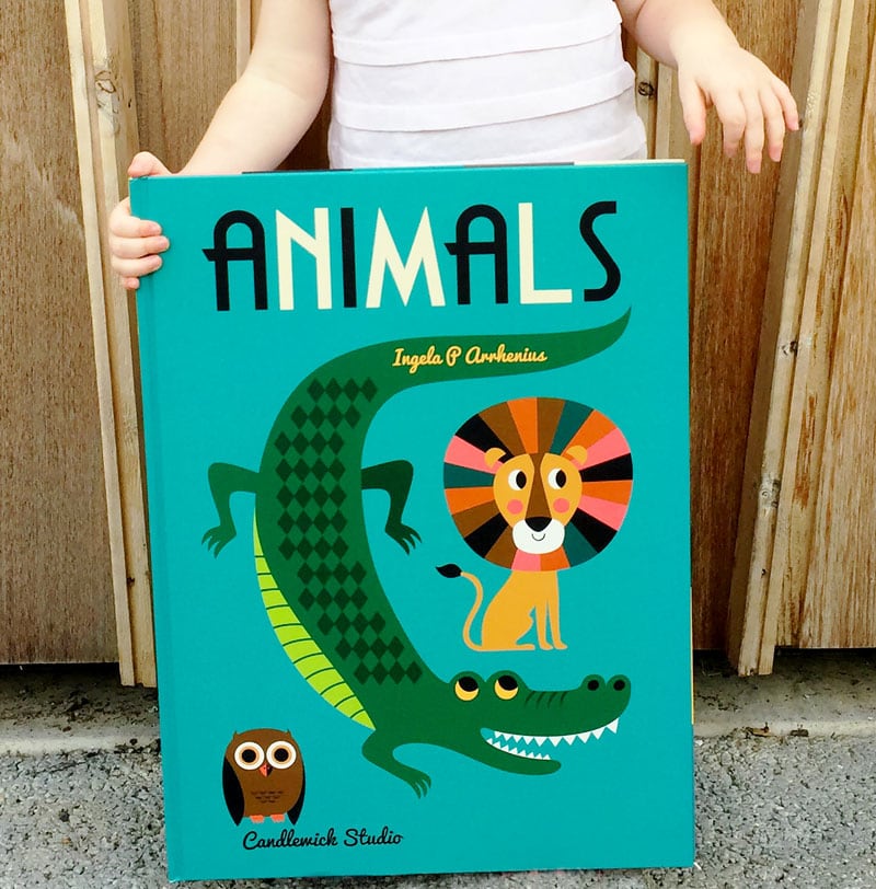 Twelve Books for Kids Who Love Animals