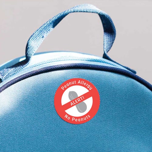 blue handled lunchbox with a peanut allergy warning label on a gray background